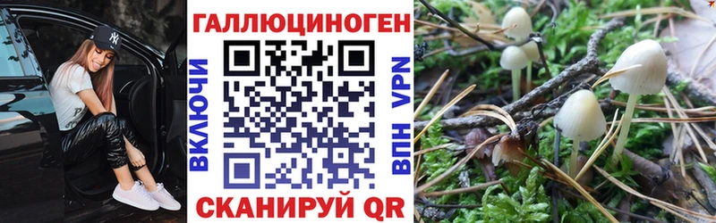 KRAKEN маркетплейс  Чегем  Галлюциногенные грибы прущие грибы  где купить наркоту 